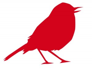 frühe vögel