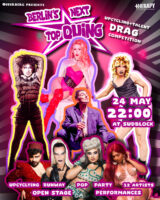 Flyer Party